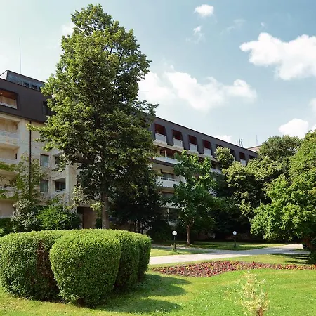 Hvd Lotos Золоті Піски