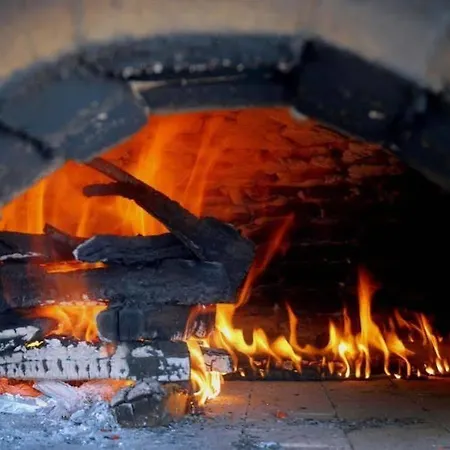 Hvd Lotos 4* Золоті Піски