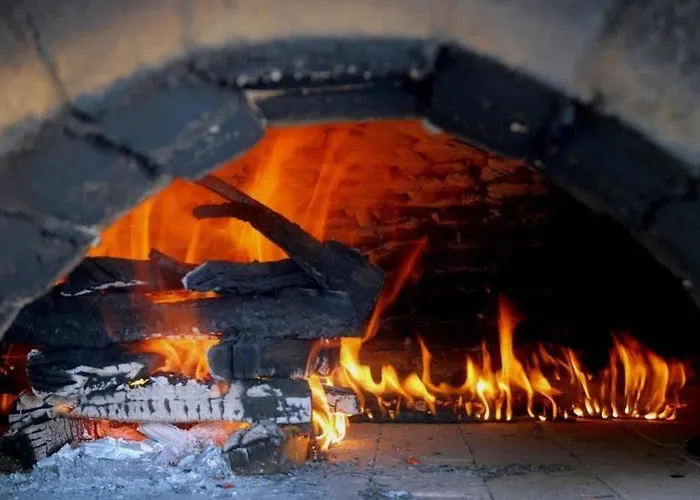 Hvd Lotos 4* Golden Sands